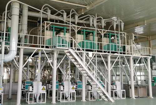 50ton/24H wheat processing equipment wheat flour mill plant