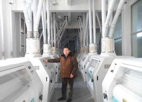 300 ton per day wheat flour milling machine 