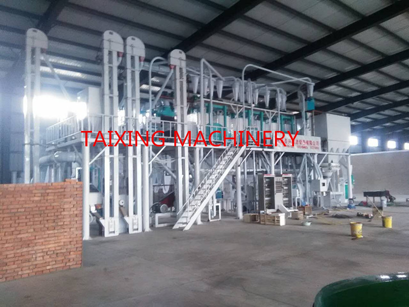 30 ton per day maize flour milling plant installing