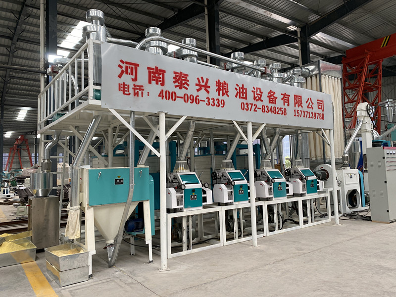 20 ton per day maize flour milling plant