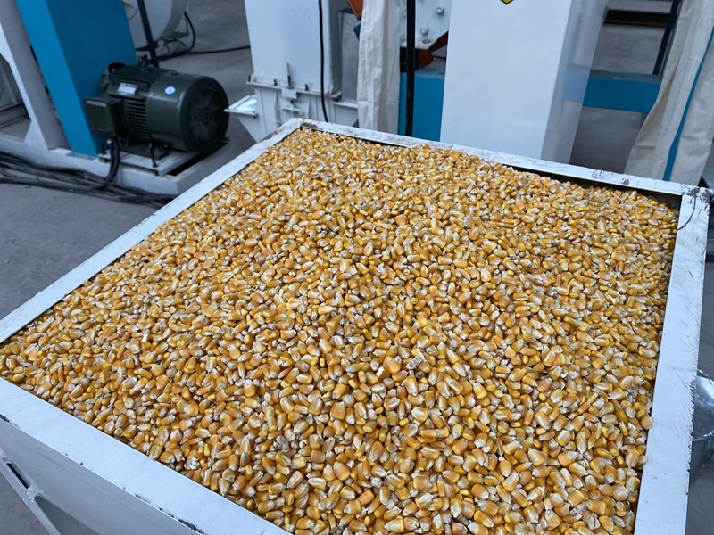 20 ton per day maize flour milling plant