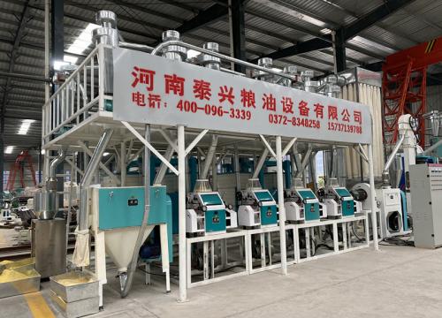 20 ton per day maize flour milling plant