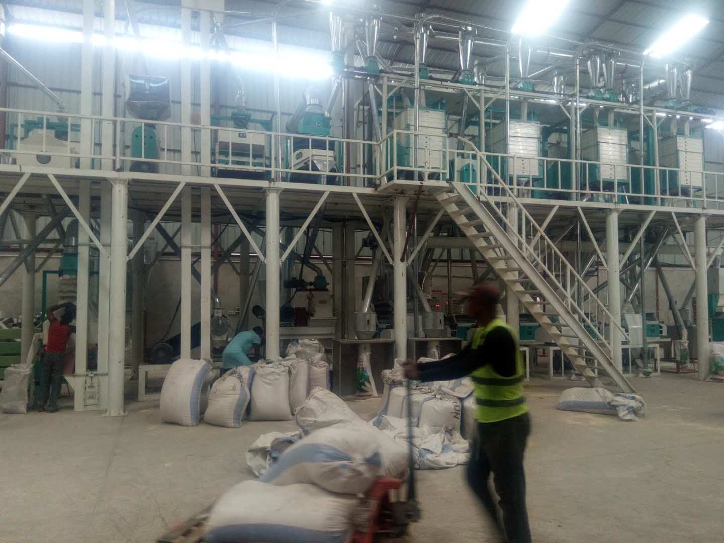 DRC Kinshasa 50ton per day corn flour milling machine